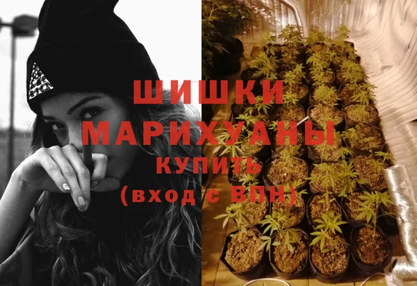 крисы Майский