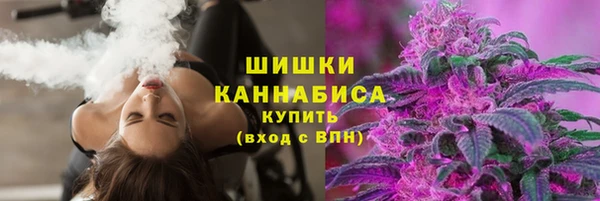 тгк Гусиноозёрск