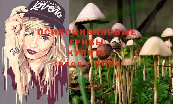 ПСИЛОЦИБИНОВЫЕ ГРИБЫ Струнино