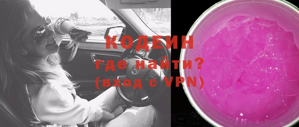 дурь Гусев