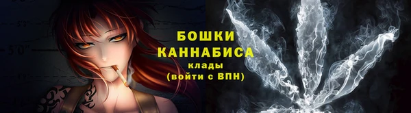 дурь Гусев