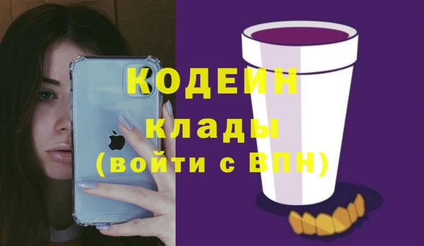 дурь Гусев