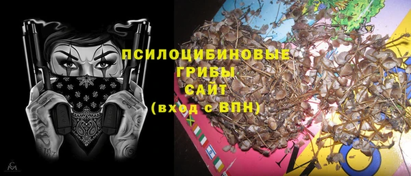 гидропоника Горняк
