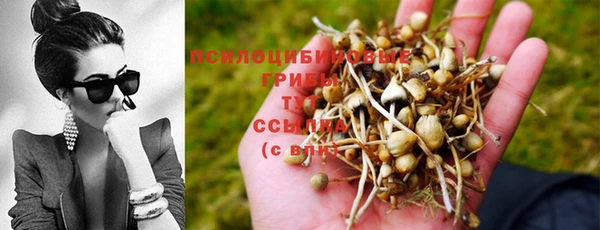 мет Ступино